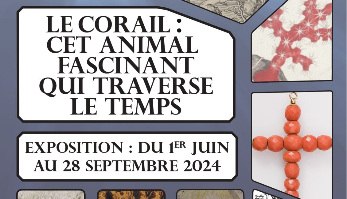 Exposition "Le corail
