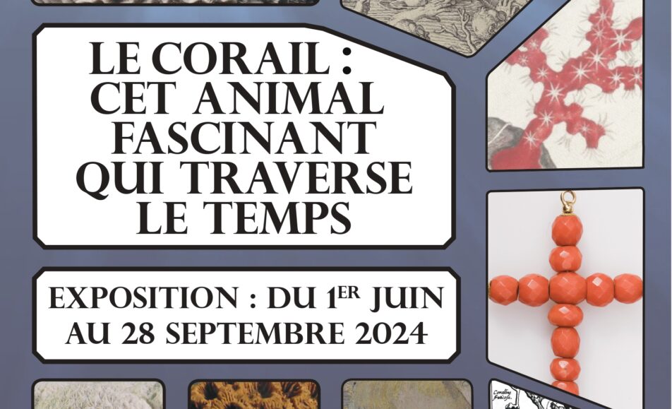 Exposition "Le corail