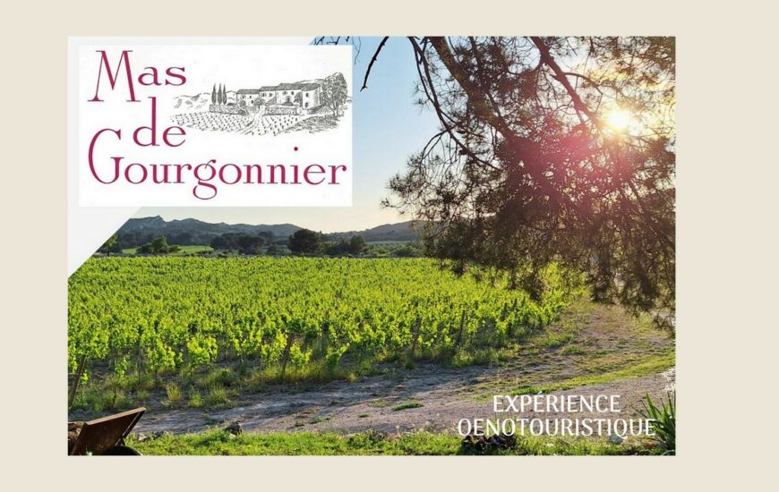 Visite d'un domaine viticole - Mas de Gourgonnier