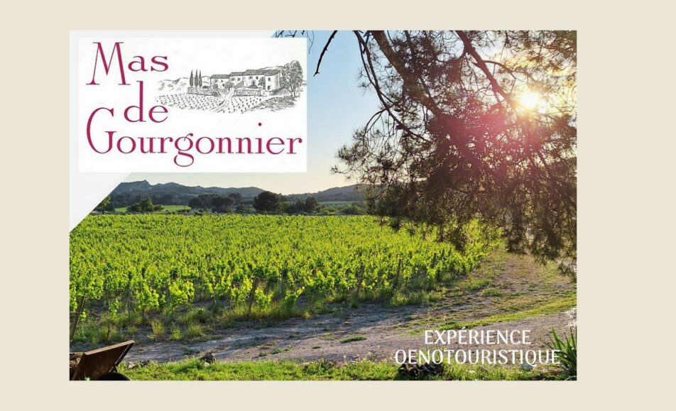 Visite d'un domaine viticole - Mas de Gourgonnier