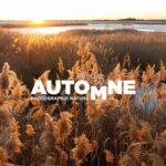 Rendez-vous Automne Photographie Nature