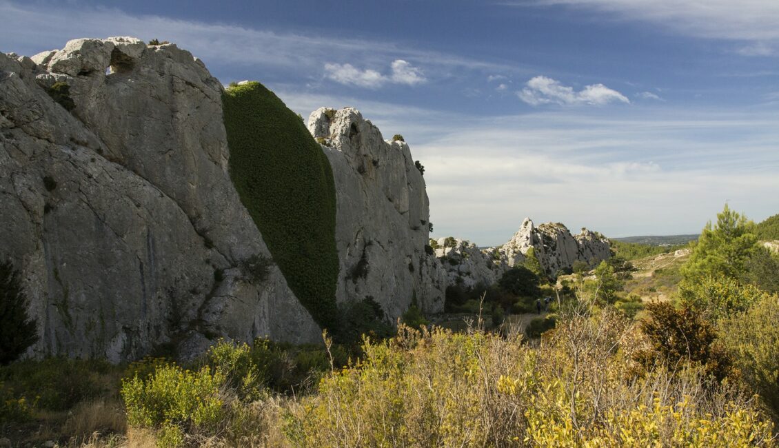 Les rendez-vous du Parc des Alpilles - Biodiversité aux Caisses de Jean-Jean