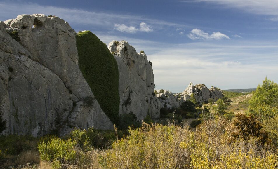 Les rendez-vous du Parc des Alpilles - Biodiversité aux Caisses de Jean-Jean