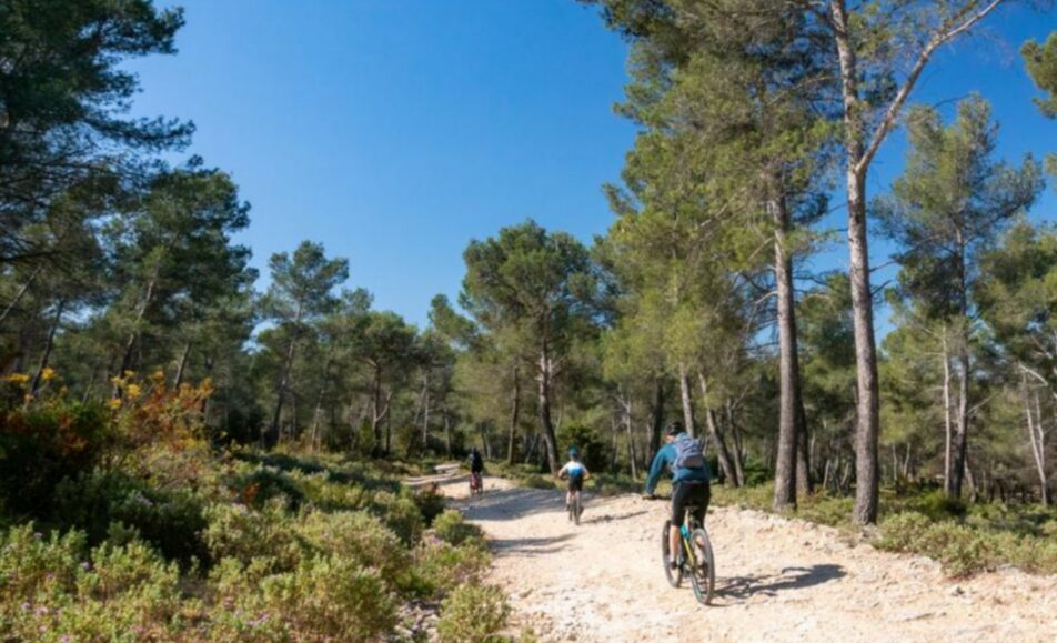 Les rendez-vous du Parc des Alpilles - Les boucles d'Aureille