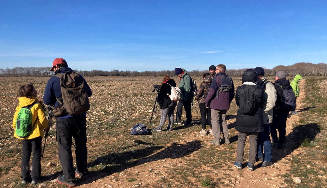 Visite de la Réserve naturelle des coussouls de Crau