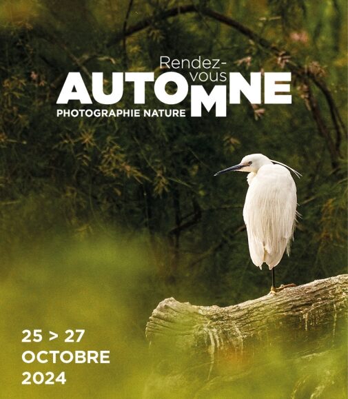 Rendez-Vous d'Automne : Festival de la Camargue et du Delta du Rhône