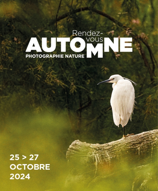 Rendez-Vous d'Automne : Festival de la Camargue et du Delta du Rhône