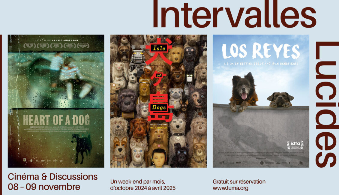 LUMA Arles / Projection du film "Heart of a Dog"