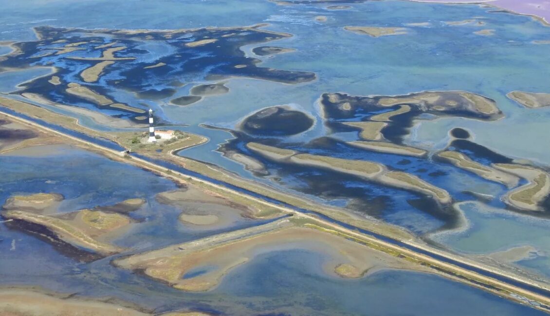 Les zones humides : un écosystème fondamental pour l'avenir