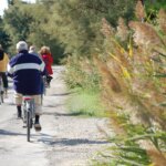 Balade vélo entre agriculture et biodiversité